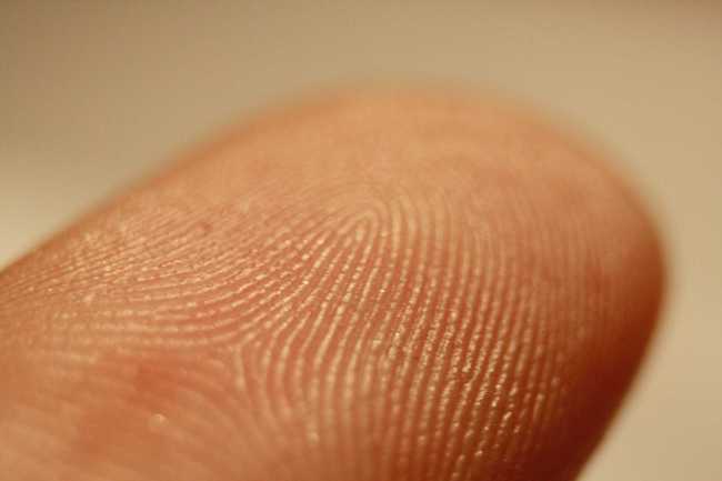 920 Millionen Smartphones mit Fingerprintsensor